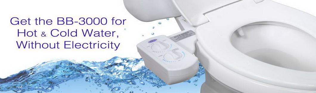 Blue Bidet